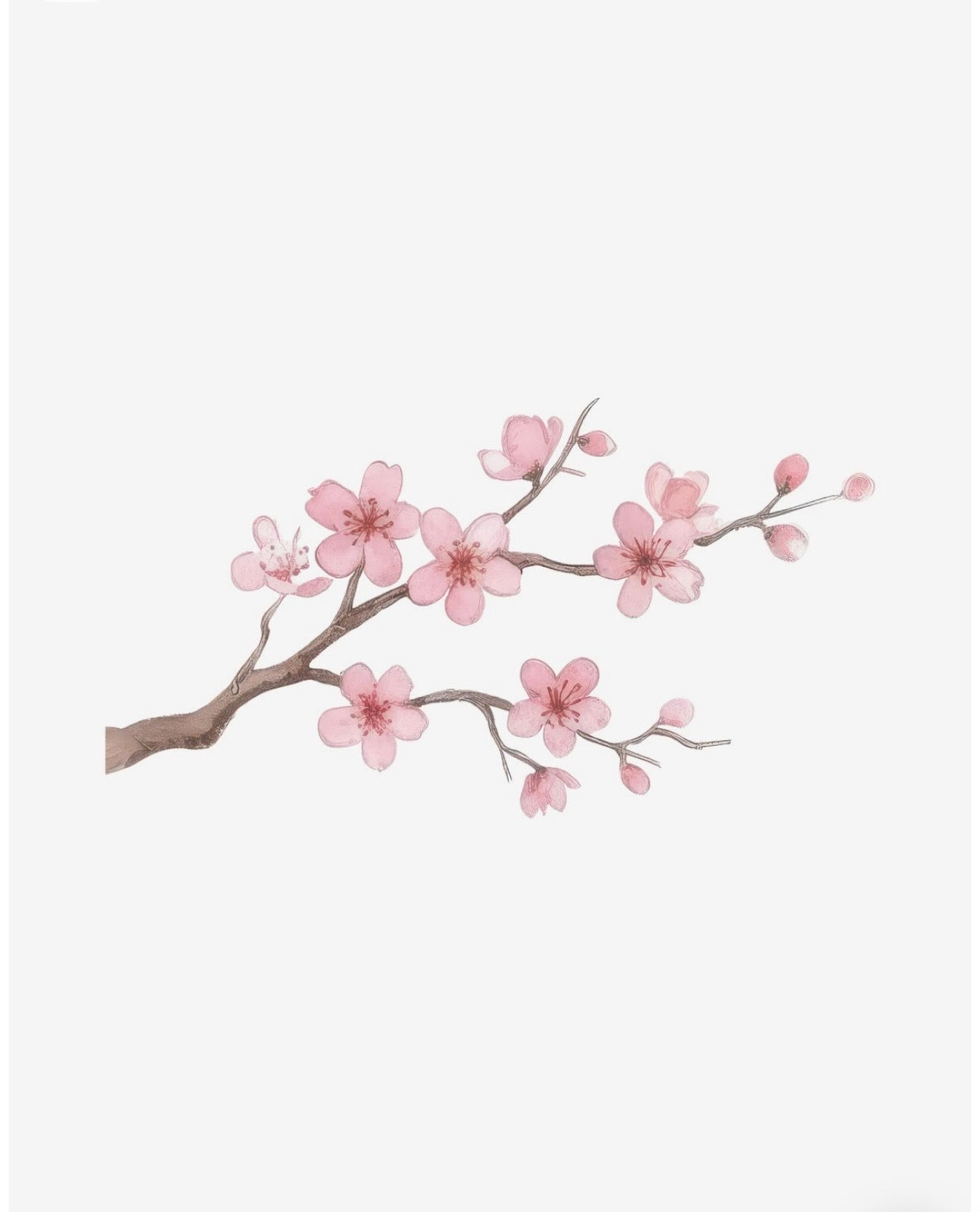 Cherry Blossom Wall Art